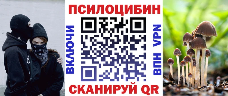 где продают наркотики  mega ТОР  Галлюциногенные грибы прущие грибы  Кашира 